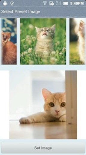 Cats 3D Cube Live Wallpaper截图5