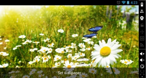 Butterfly Spring LiveWallpaper截图5