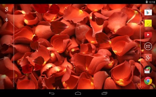 Rose petals Live Wallpaper截图1