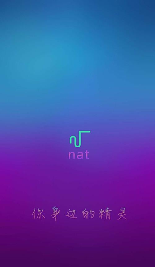 nat截图4