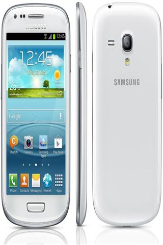 三星Galaxy S3迷你技巧截图2