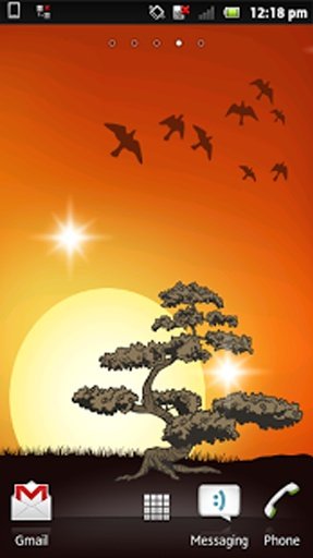 Live Bonsai Sunset Wallpaper截图1