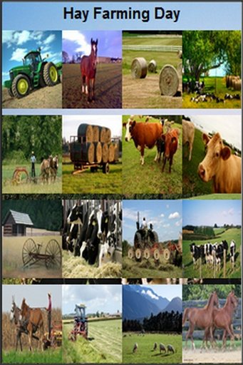 Hay Farming Day截图4