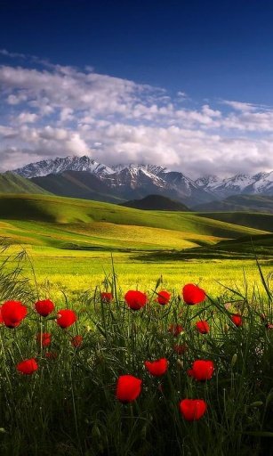 Nature Live Wallpapers截图2