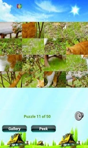 Cat Puzzles截图4