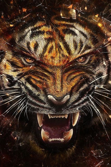 Tiger Wallpaper截图2