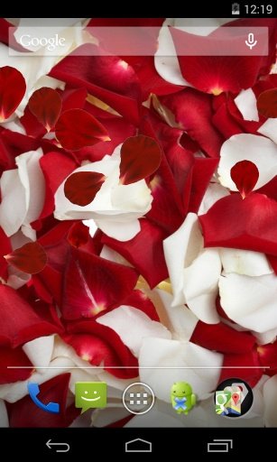 Rose petals Live Wallpaper截图3