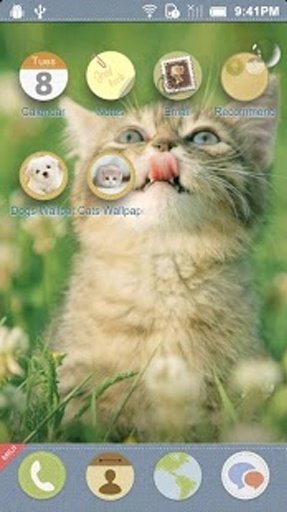 Cats 3D Cube Live Wallpaper截图4