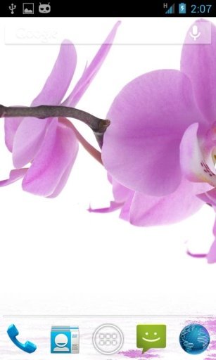 Orchids In Water V截图2