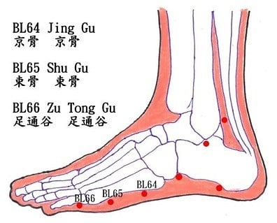 子午灵龟截图3