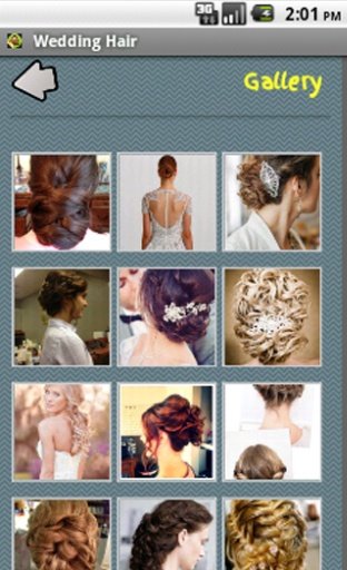 Wedding Hairstyles截图7