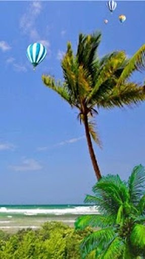 Beach Palm Trees Livewallpaper截图4