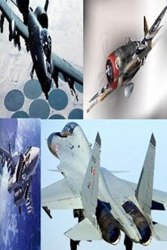 Fighter Jet Simulator截图9