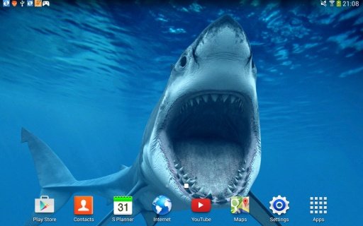 Shark Attack Live Wallpaper截图1