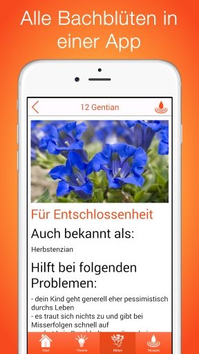 Bachbl&uuml;ten f&uuml;r截图5