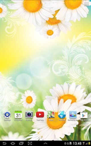 Daisies Live Wallpaper截图4