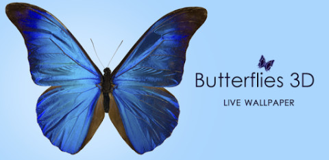 Butterflies 3D live wallpaper截图2