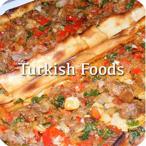 TURKEY FOODS HOW TO COOKs截图2