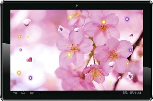 Sakura Flowers live wallpaper截图1