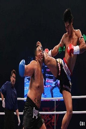 Boxing Fight HD Game截图3