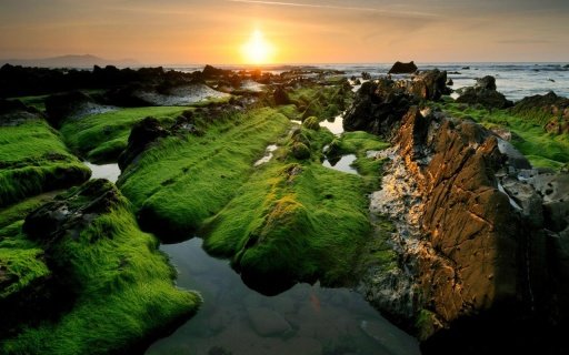 Nature Live Wallpapers截图3