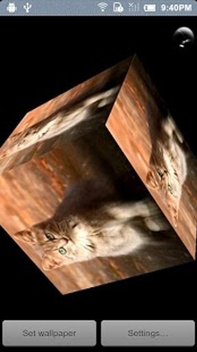 Cats 3D Cube Live Wallpaper截图3