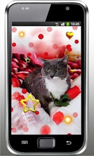 Kitty n Puppy live wallpaper截图2