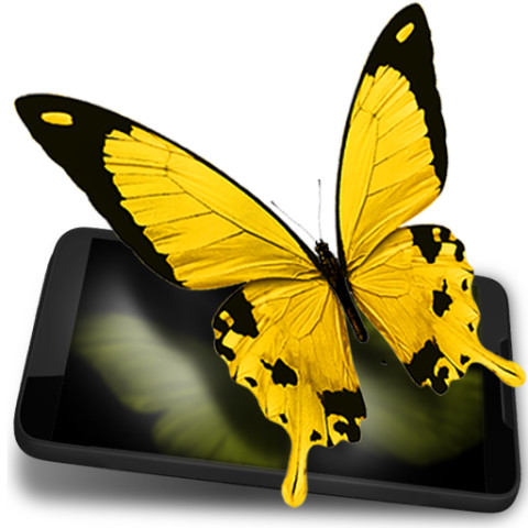 Butterflies 3D live wallpaper截图1