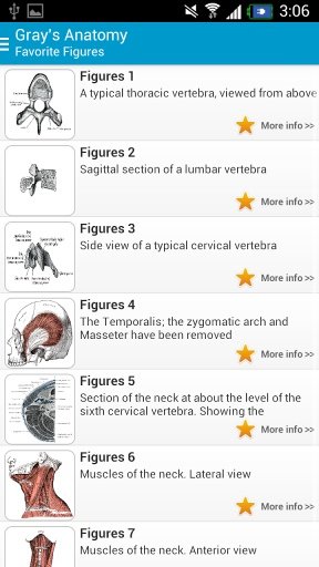 Gray's Anatomy 2014 Full Free截图6