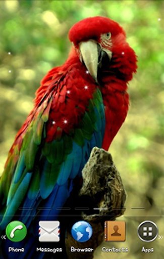 Parrot Live Wallpaper截图2