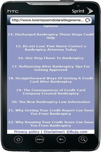 Bankruptcy Law Information截图2