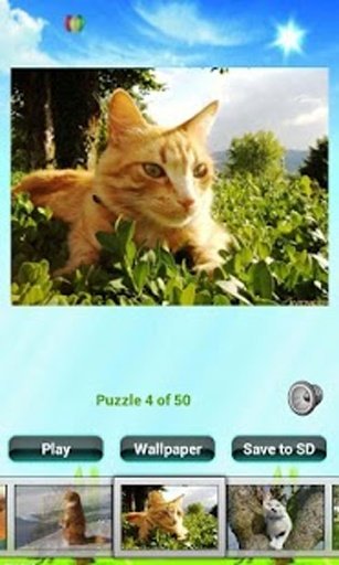 Cat Puzzles截图5