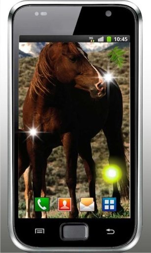 Horses Photo HQ live wallpaper截图3