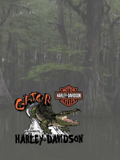 Gator Harley截图4