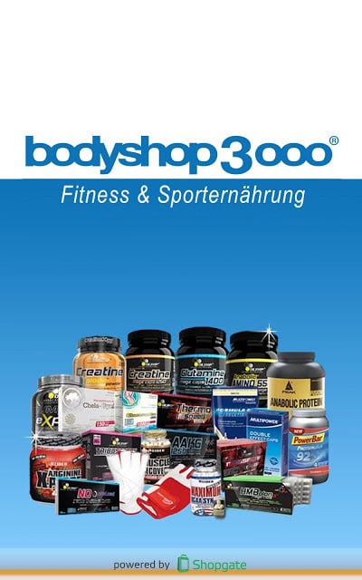 Bodyshop3000截图6