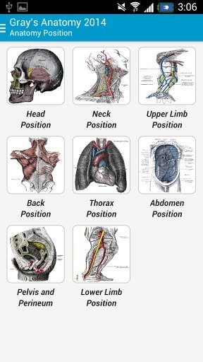 Gray's Anatomy 2014 Full Free截图1