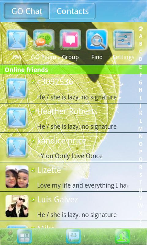 Summer Free GO SMS Theme截图7