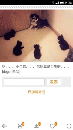 猫狗萌宠物截图4