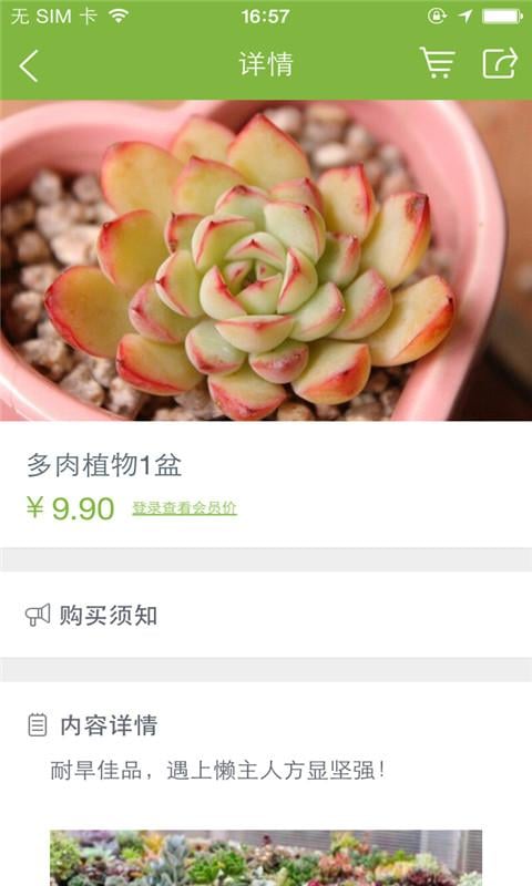 香草花园截图5