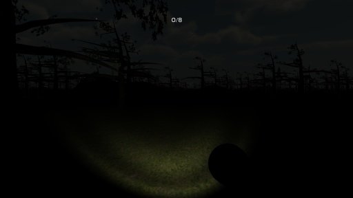 Slenderman: Lost截图4