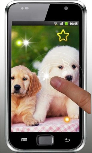 Hello Cute Puppy livewallpaper截图2