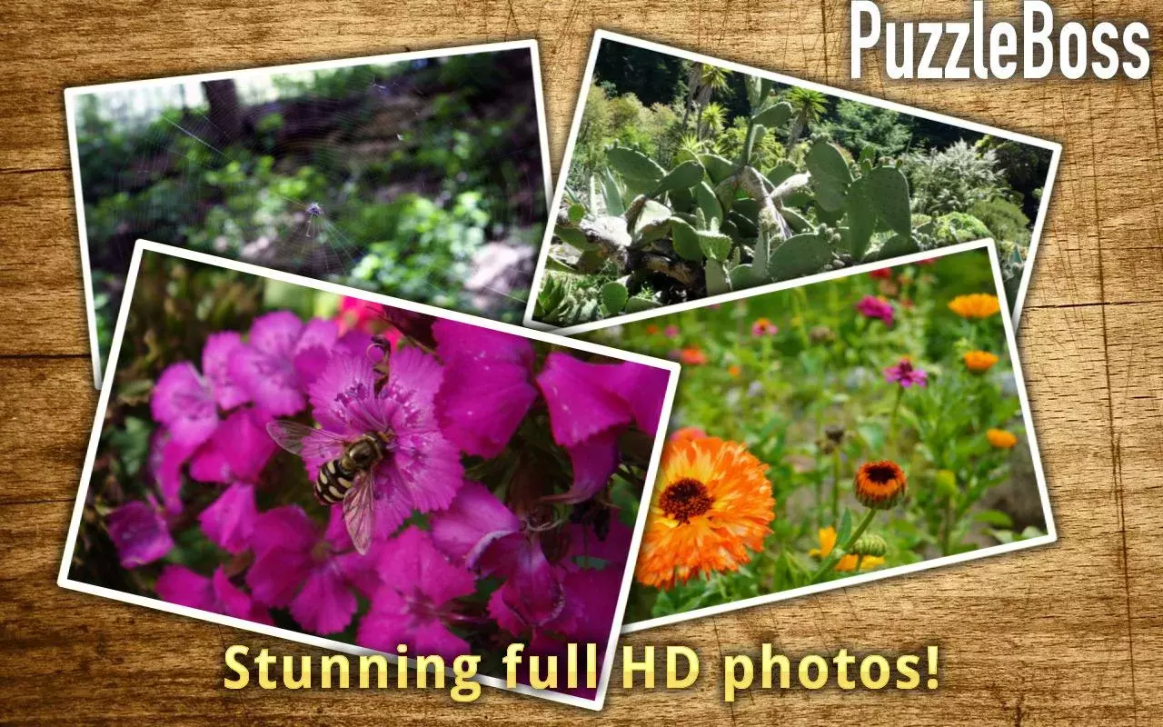 Garden Jigsaw Puzzles FREE截图7