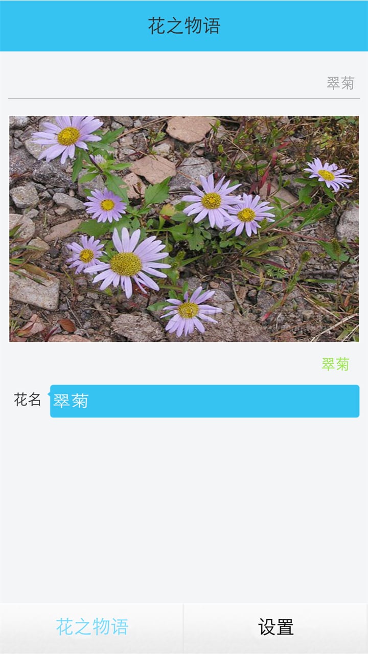 花之物语截图4