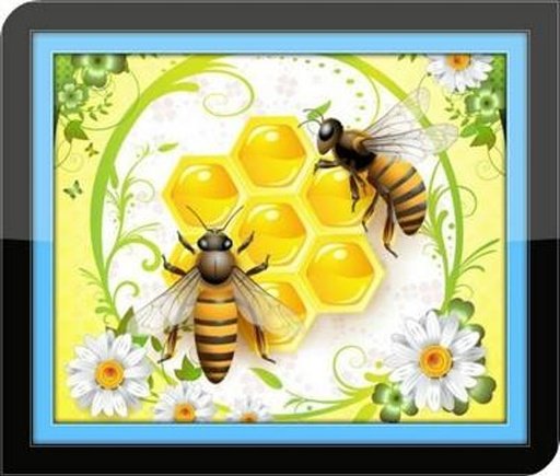 Bee Farming Tips截图5