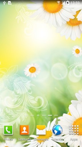 Daisies Live Wallpaper截图2