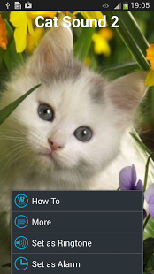 Cat Sounds Ringtones截图6