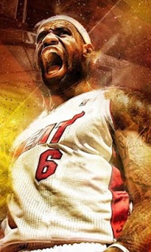 Lebron James Wallpapers截图2