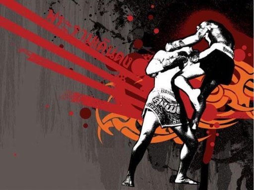 Muay Thai Wallpapers截图3