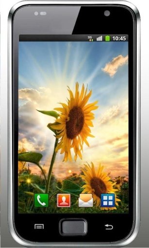 Sunflower Sunset liv wallpaper截图1