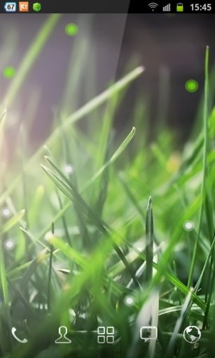 Soft Grass Wallpaper截图2